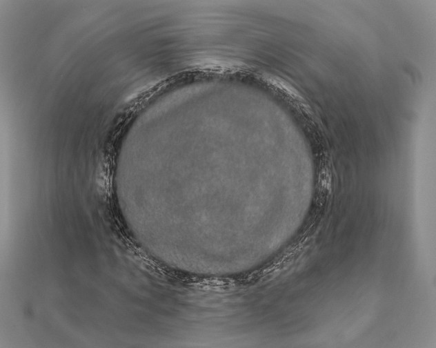 X0000111910869200908101158