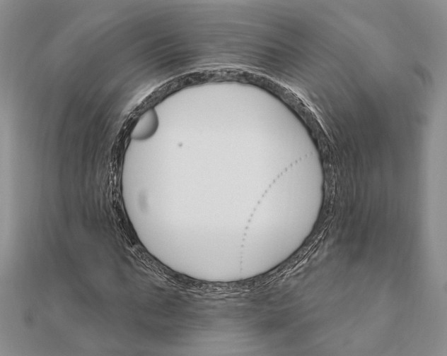 X0000111910871200908101158