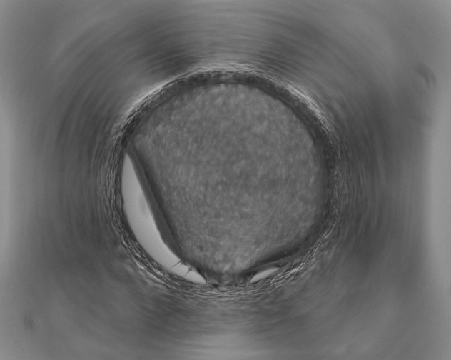 X0000111910872200908101158