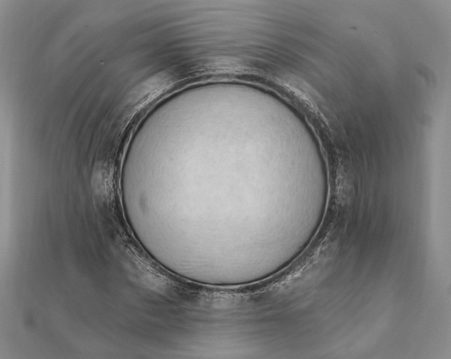 X0000111910873200908101158