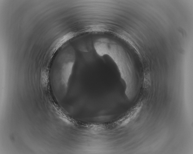 X0000111910874200908101158