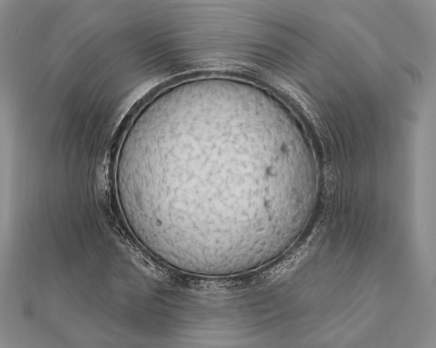 X0000111910875200908101158