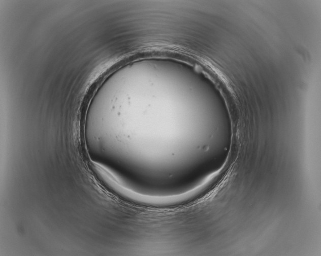 X0000111910877200908101158