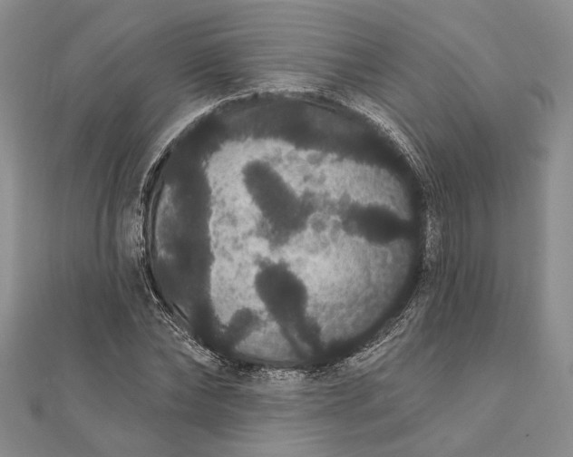 X0000111910878200908101158