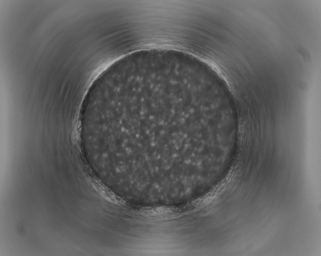 X0000111910879200908101158