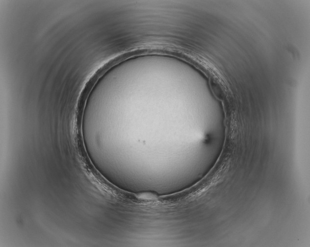 X0000111910880200908101158