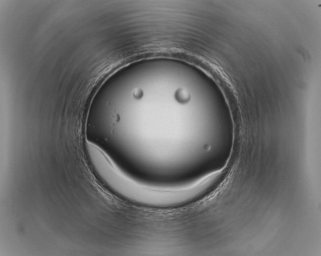 X0000111910881200908101158