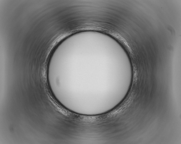 X0000111910882200908101158