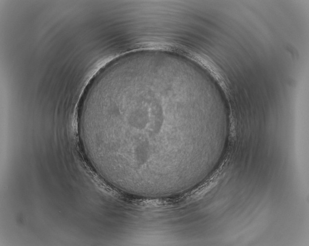 X0000111910883200908101158