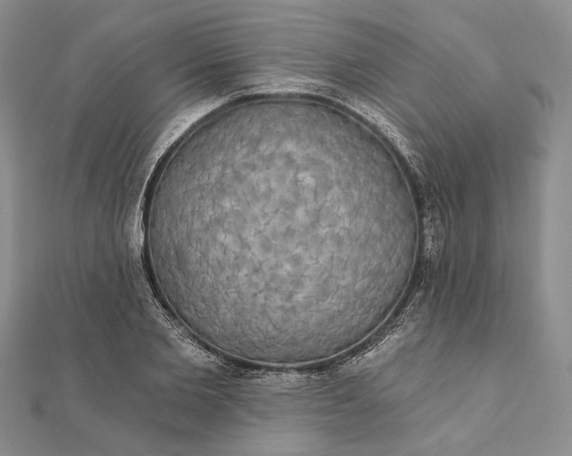 X0000111910885200908101158