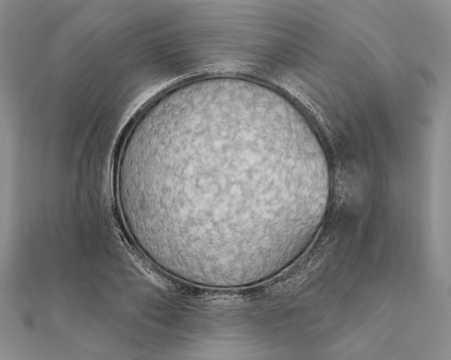 X0000111910886200908101158