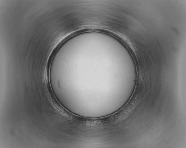 X0000111910887200908101158