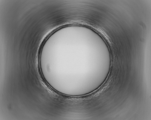 X0000111910888200908101158