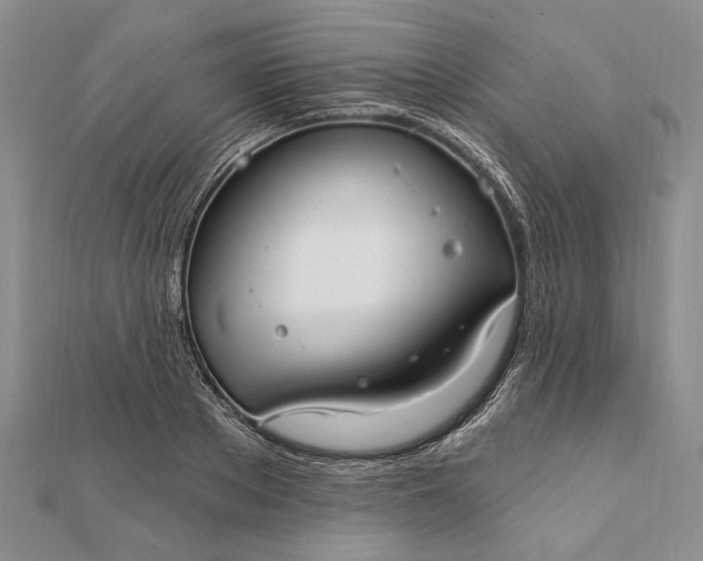 X0000111910889200908101158