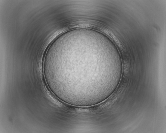 X0000111910890200908101158