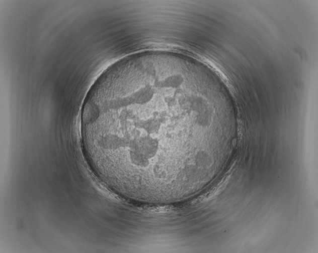 X0000111910891200908101158