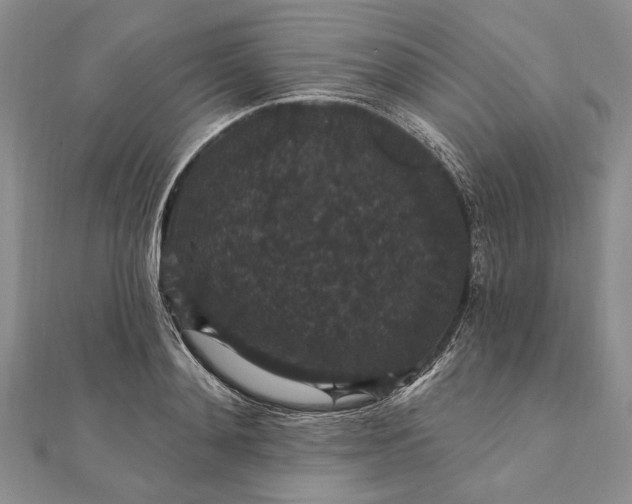 X0000111910892200908101158