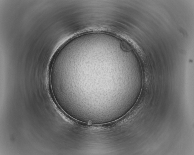 X0000111910894200908101158