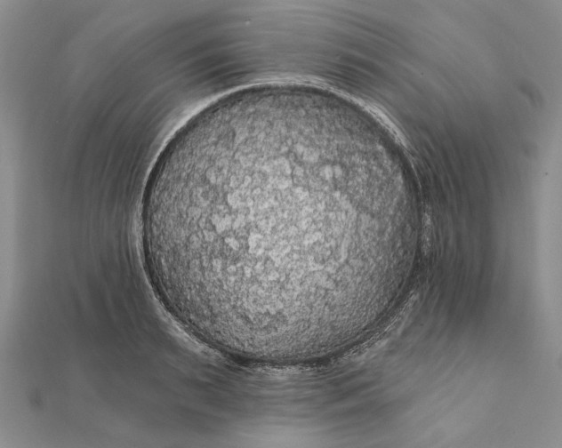 X0000111910895200908101158