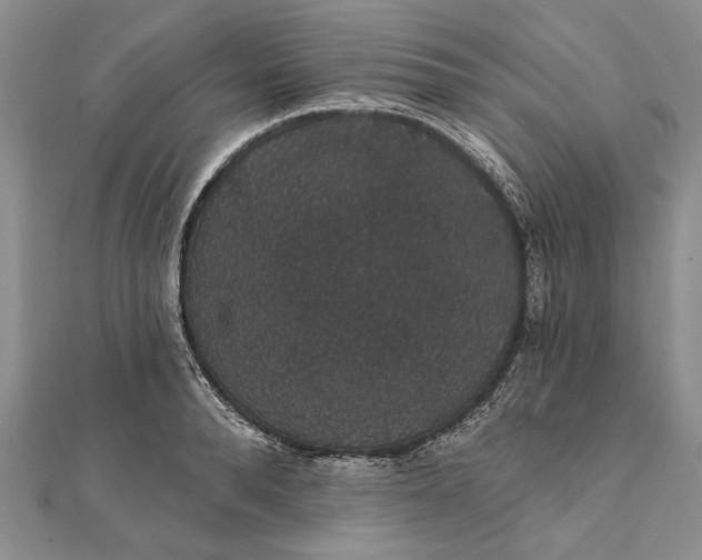 X0000111910896200908101158