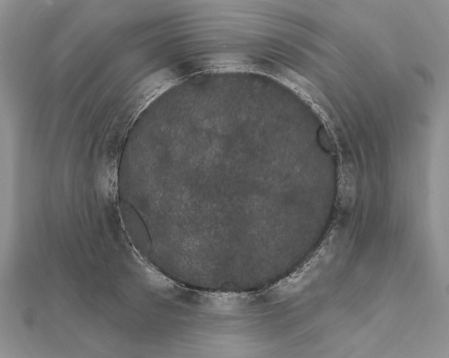 X0000111910897200908101158