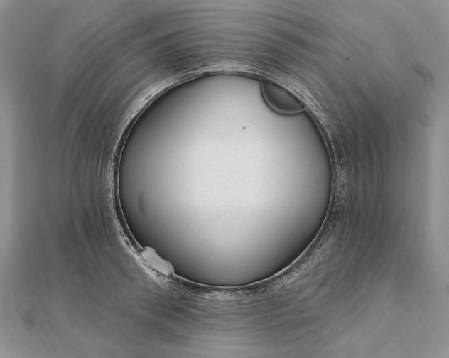 X0000111910898200908101158