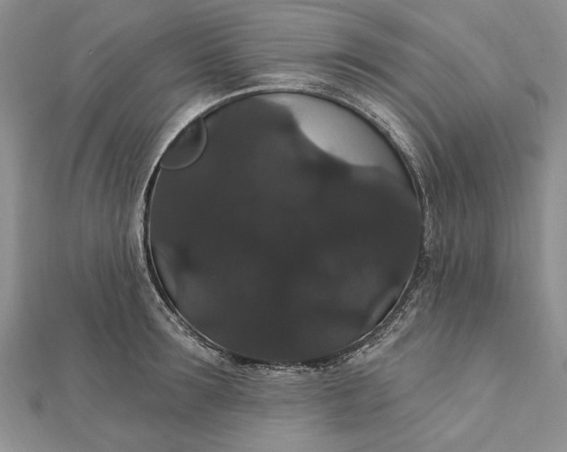 X0000111910899200908101158