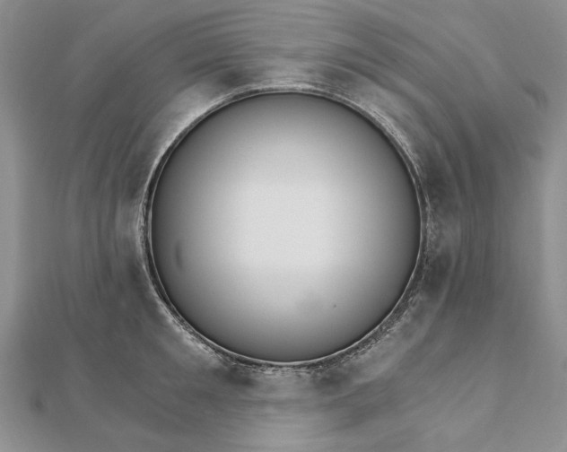 X0000111910901200908101158