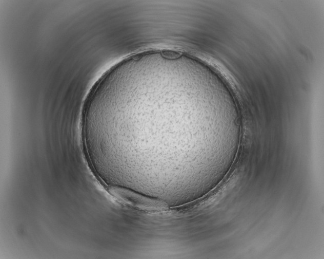 X0000111910902200908101158