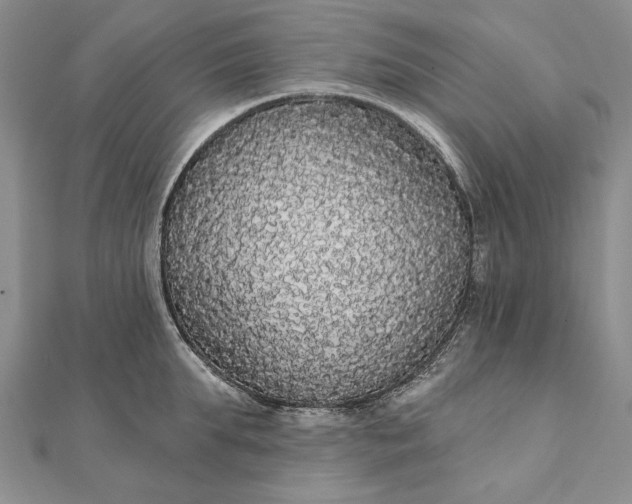 X0000111910903200908101158