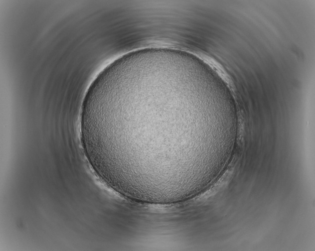 X0000111910904200908101158