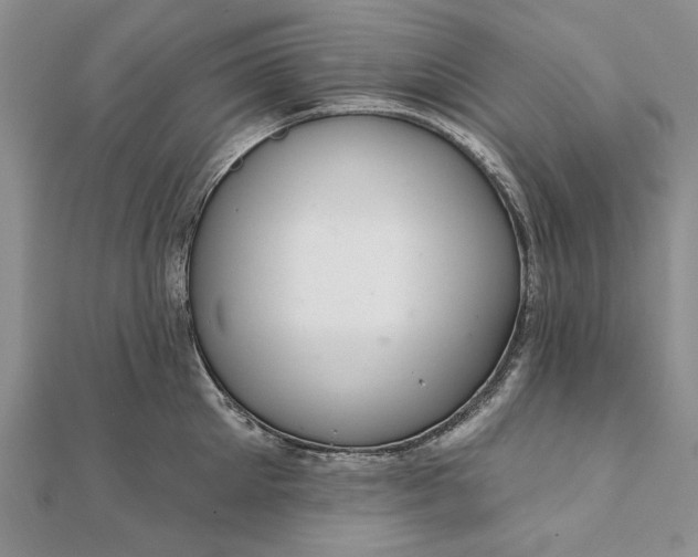 X0000111910905200908101158