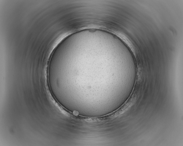 X0000111910906200908101158