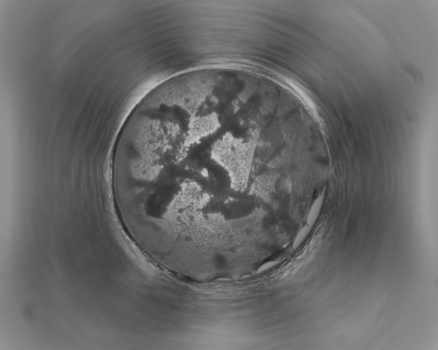 X0000111910907200908101158