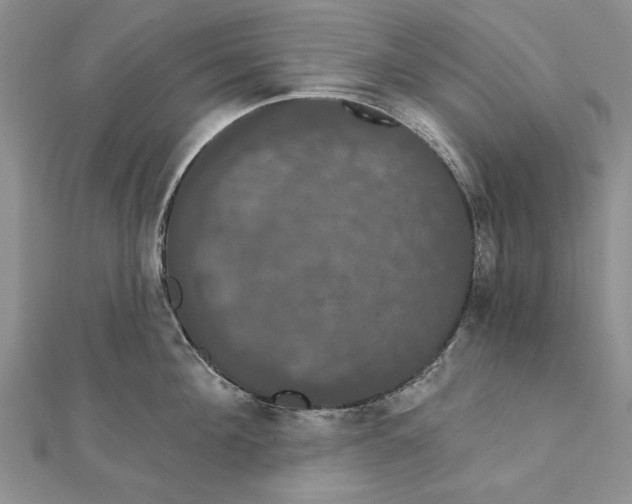 X0000111910908200908101158