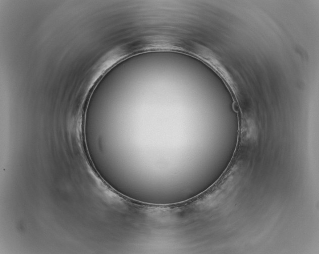 X0000111910909200908101158