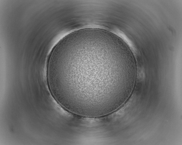 X0000111910910200908101158