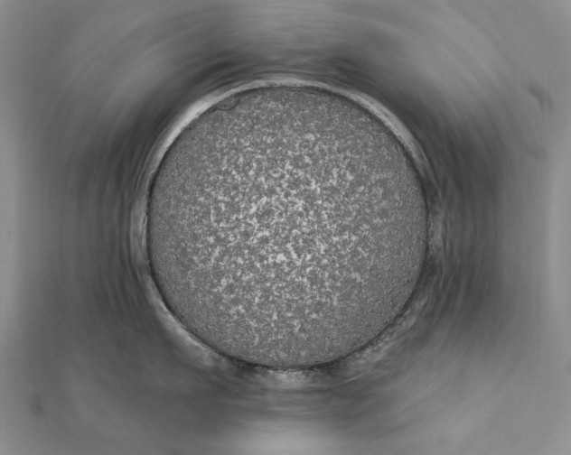 X0000111910911200908101158