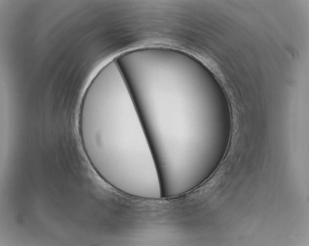 X0000111910912200908101158