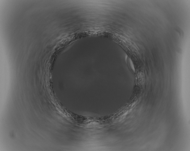 X0000111910913200908101157