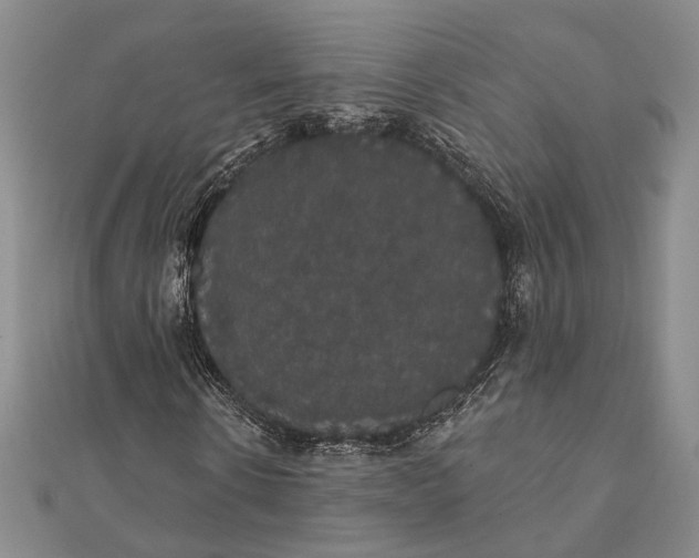 X0000111910914200908101157