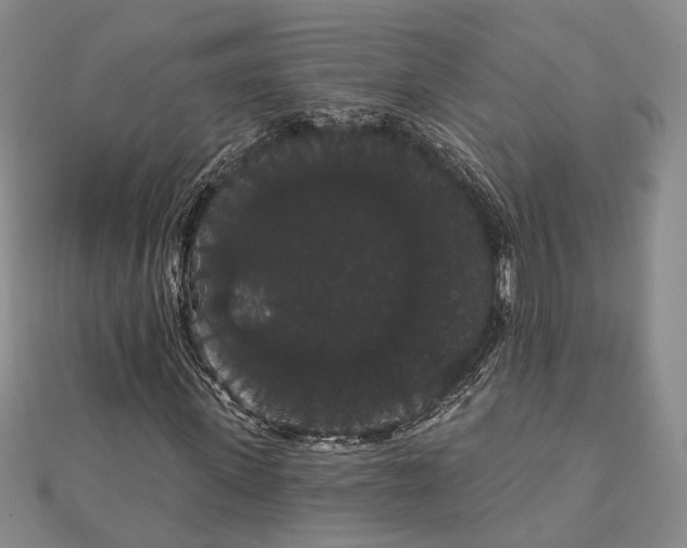 X0000111910915200908101157