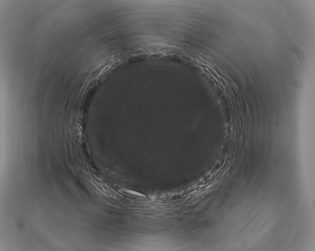 X0000111910916200908101157