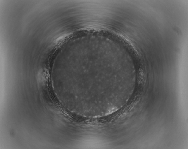 X0000111910918200908101157