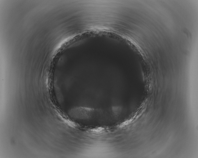 X0000111910919200908101157