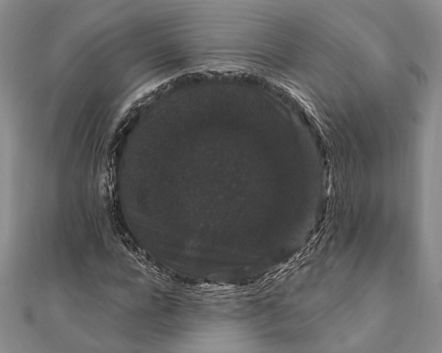 X0000111910920200908101157