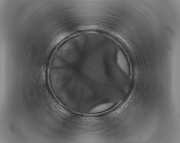 X0000111910921200908101157