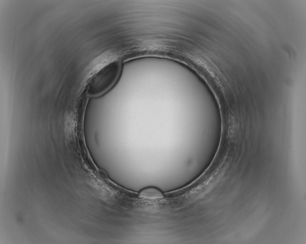 X0000111910922200908101157