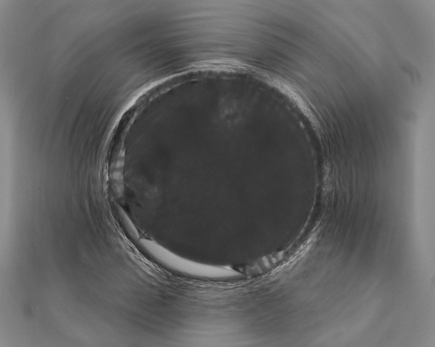 X0000111910923200908101157