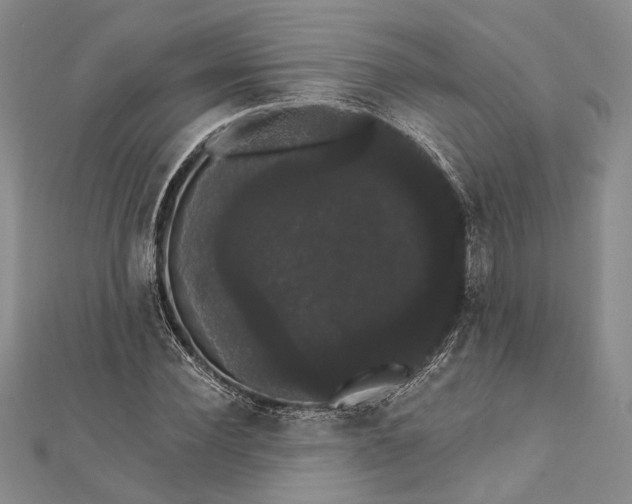 X0000111910924200908101157